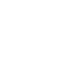 Charity Icona